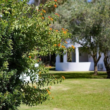 Hotel Flamingo Santa Margherita di Pula Szoba fotó