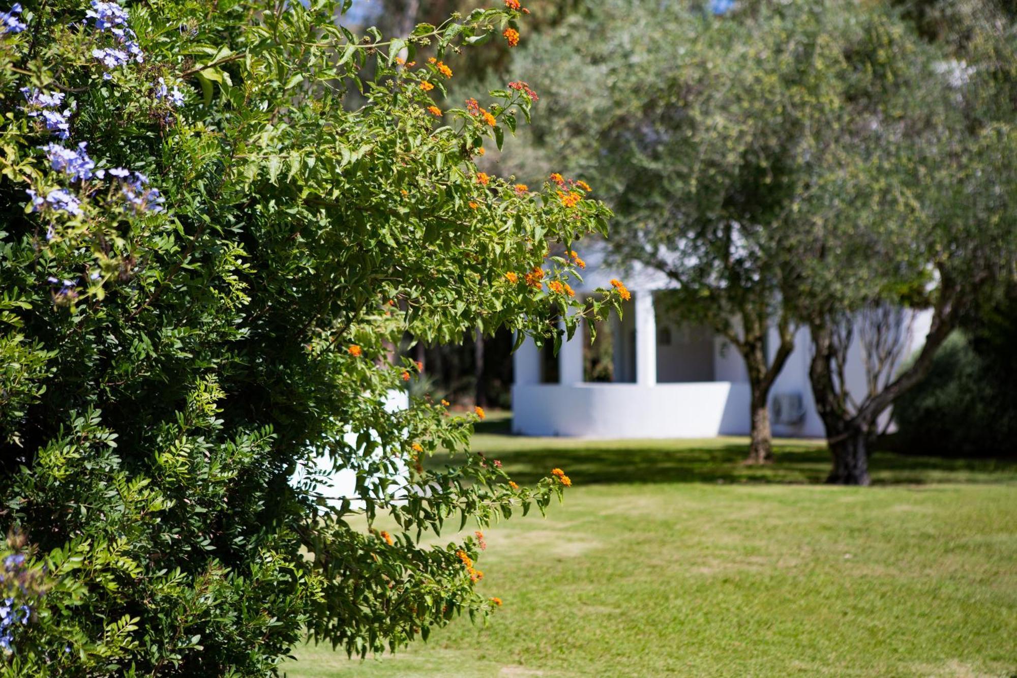 Hotel Flamingo Santa Margherita di Pula Szoba fotó